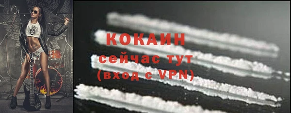 дмт Касимов