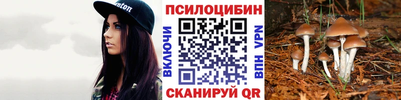 Псилоцибиновые грибы Magic Shrooms  Купить закладки  Ковдор 